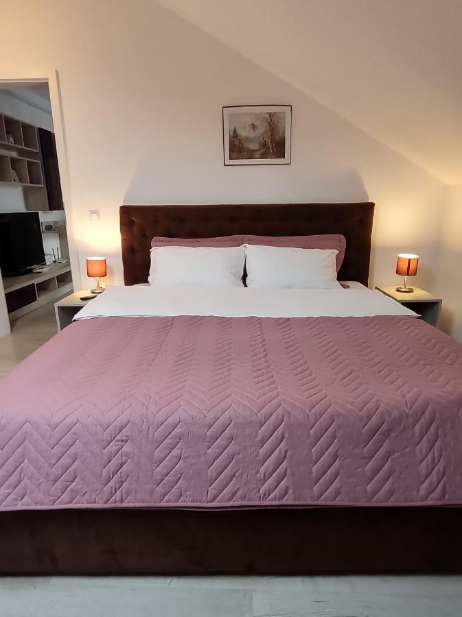 Simona Apartament Palas Mall ยาช ภายนอก รูปภาพ