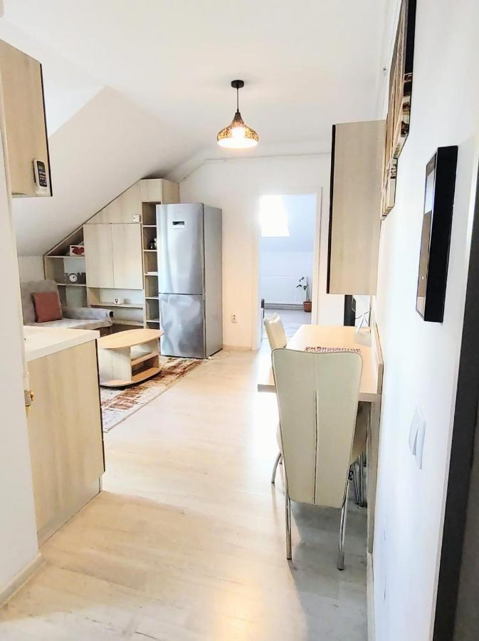 Simona Apartament Palas Mall ยาช ภายนอก รูปภาพ